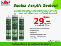 SealexAcrylicEco